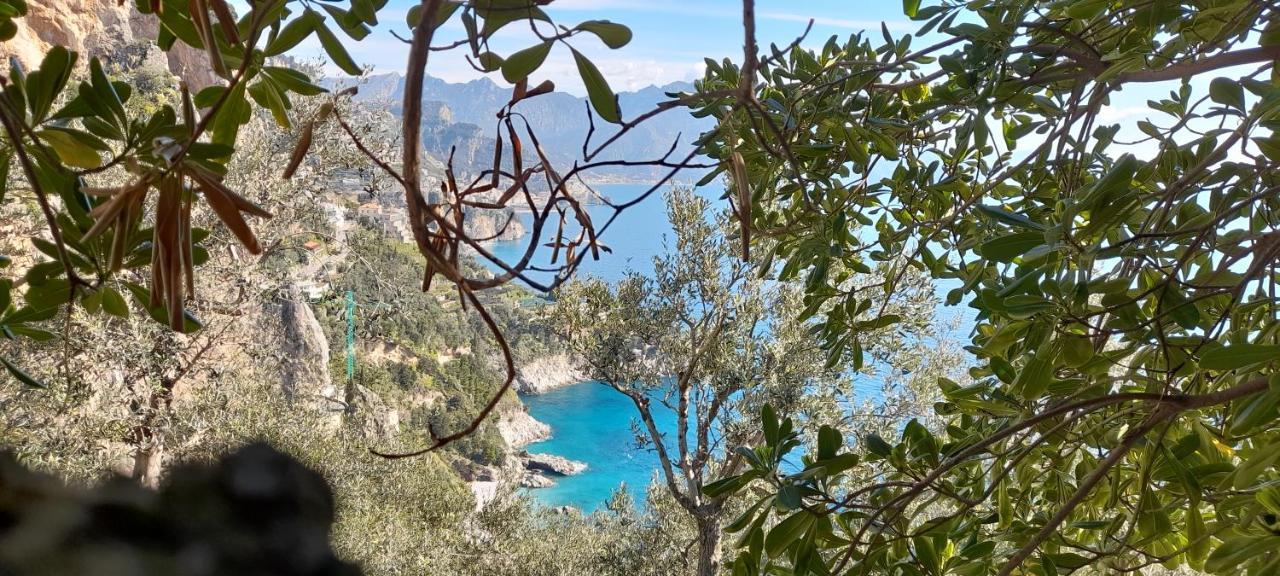 Il Fienile Villa Conca dei Marini Eksteriør billede
